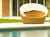 thumbnail of Item 1 Title