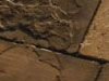 thumbnail of Item 2 Title