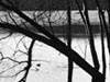 thumbnail of Item 1 Title