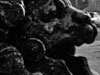 thumbnail of Item 1 Title